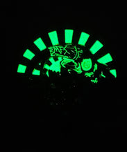 Load image into Gallery viewer, Red Daisies Down Under the Stars - BigWoollyDesign